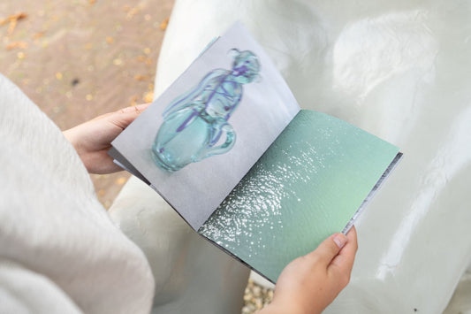 Erik Buijs Collectieboek