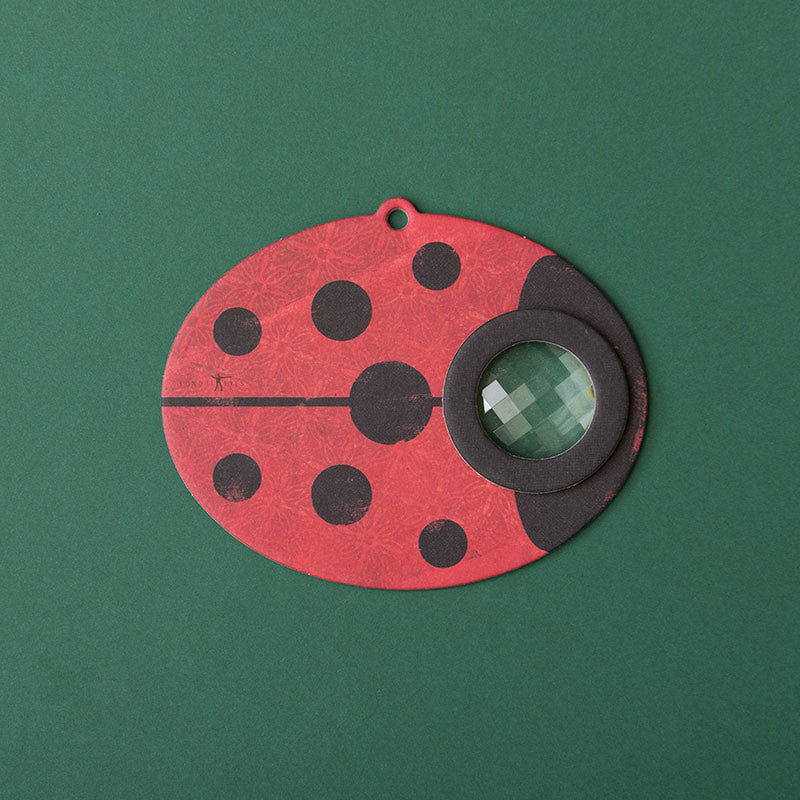 Eye insect