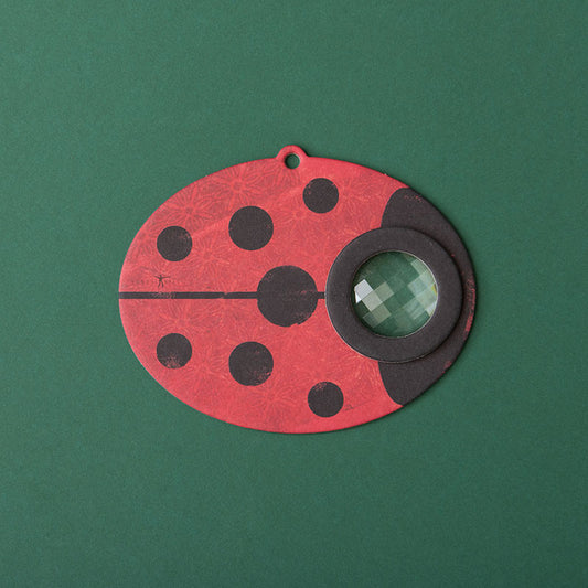 Eye insect