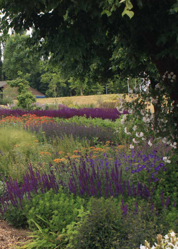 Mijn natuurlijke tuin. Tuinieren volgens The Dutch Wave