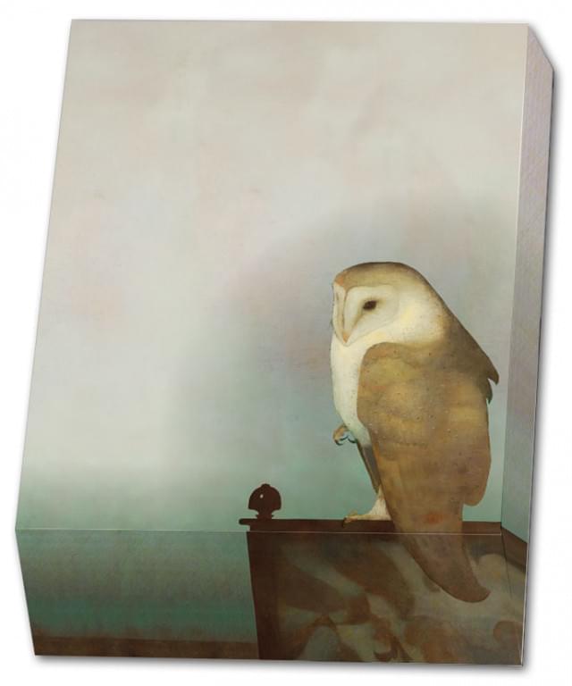 Notitieblokje Jan Mankes Grote uil op scherm