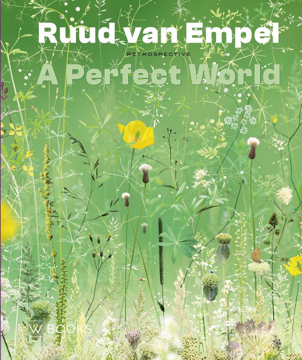Ruud van Empel. A Perfect World