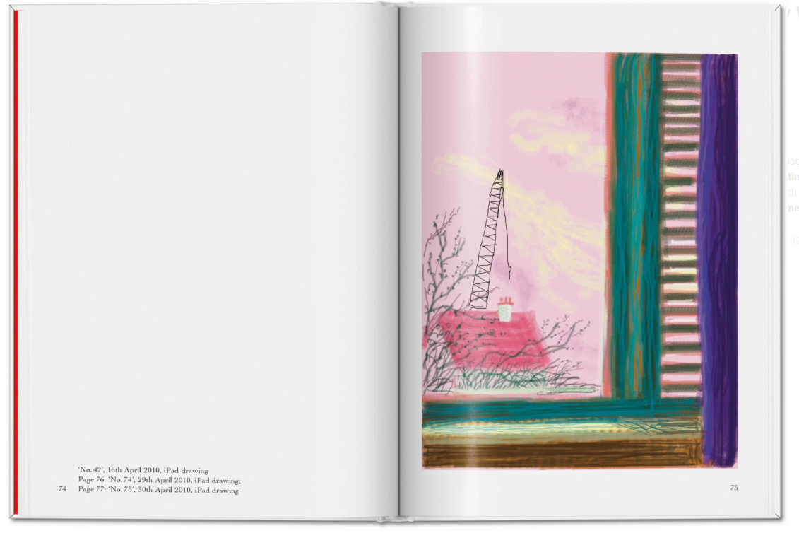 David Hockney. My Window