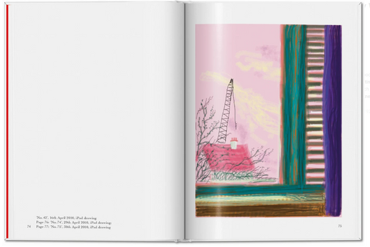 David Hockney. My Window