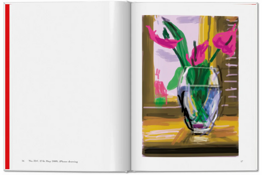 David Hockney. My Window