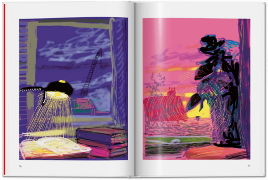 David Hockney. My Window