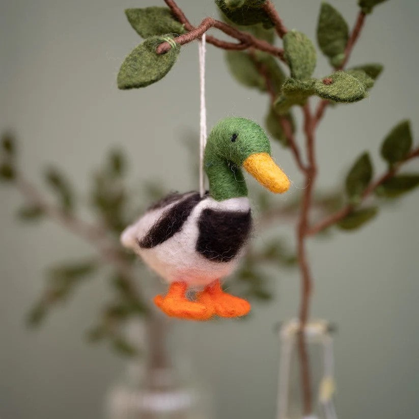 Hanger vogel wilde eend mannetje woerd