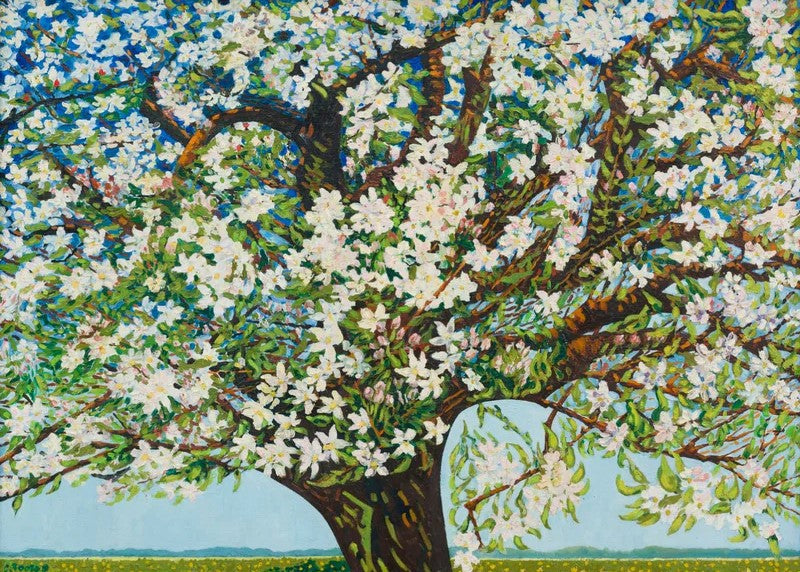 Sokken Charley Toorop Beemster 36-40