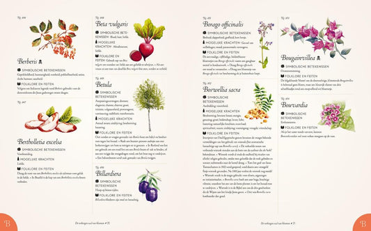 De verborgen taal van bloemen