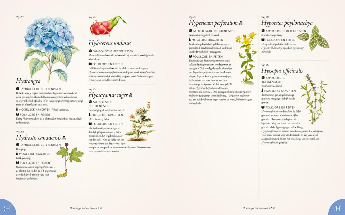 De verborgen taal van bloemen