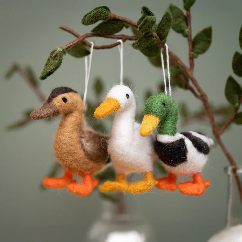 Hanger vogel wilde eend mannetje woerd