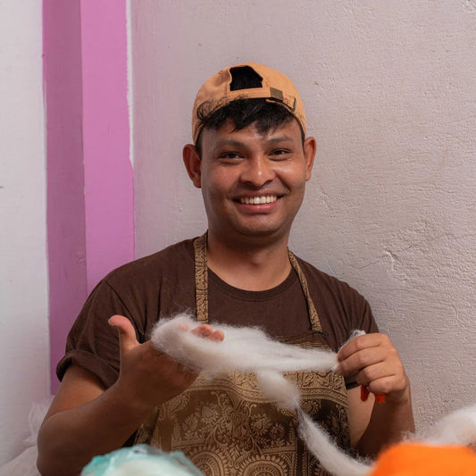 Hanger vogel wilde eend mannetje woerd