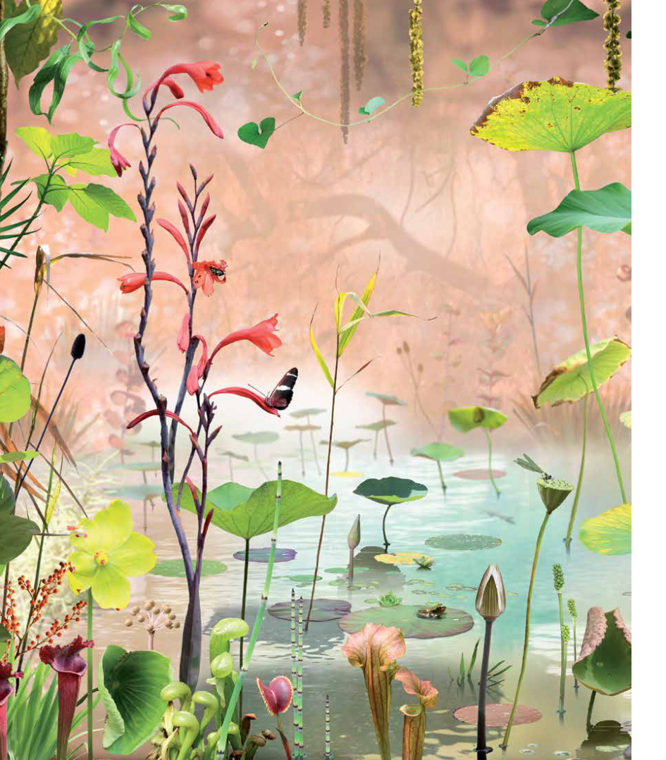 Ruud van Empel. A Perfect World